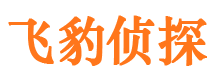 隆子私家调查公司